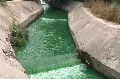 В Алматы ищут виновных в загрязнении реки Каргалы