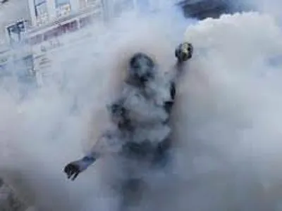 Журналист попала под атаку полиции