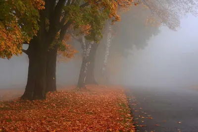 Туман и усиленный ветер ожидаются на юге Казахстана
