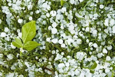 Жара и град: какой будет погода в Астане, Алматы и Шымкенте