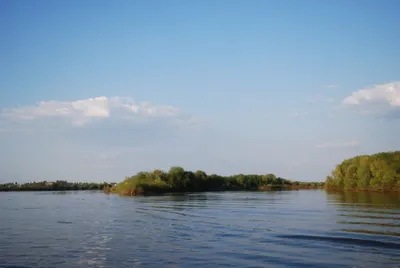 В СКО обнаружено тело утонувшего в реке семилетнего ребенка
