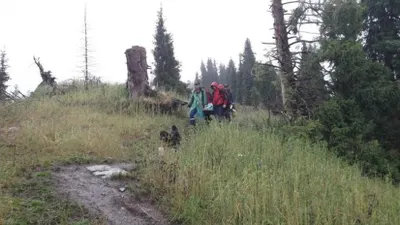 C Кок-Жайляу спасатели эвакуировали туристку со сломанной ногой