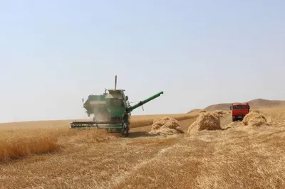 МНЭ РК: иностранцы не будут участвовать в аукционах по продаже земель