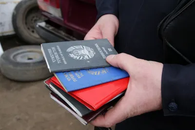 Трудовые мигранты смогут получать госуслуги в Казахстане