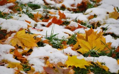 В Казахстане ожидается потеплениеЭксклюзив