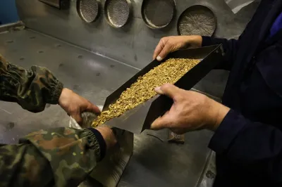 Золото на 122 миллиона тенге похищено на руднике АО «Казахалтын»