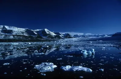 В РФ может появиться Министерство по развитию Арктики