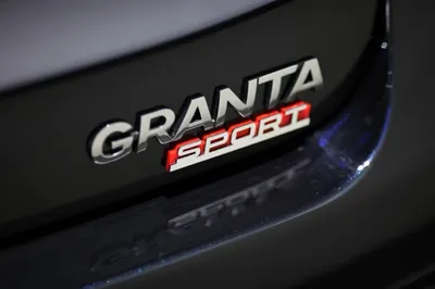 «Озверевшая» Lada поступила в продажу