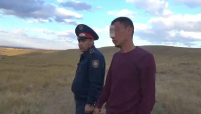 Полицейские ЮКО вернули угнанный табун лошадей