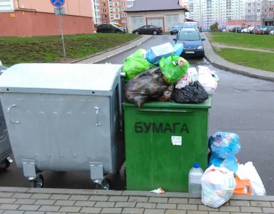 Семья перерыла 12 тонн мусора в поисках выброшенных денег в Тюмени