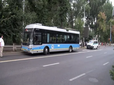ДТП в Алматы: пострадал светофор (ФОТО)