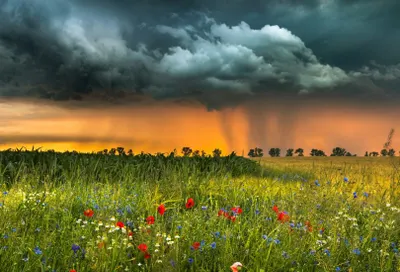 Дожди с грозами пройдут в ряде регионов Казахстана