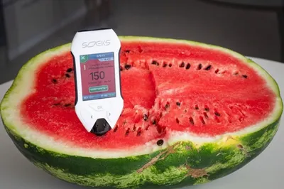 Арбузы с повышенным содержанием нитратов обнаружены в Павлодарской области