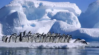 Зафиксировано катастрофическое повышение уровня мирового океана