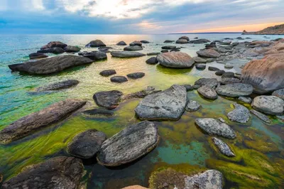 Одобрена ратификация протокола по оценке воздействия на окружающую среду Каспия
