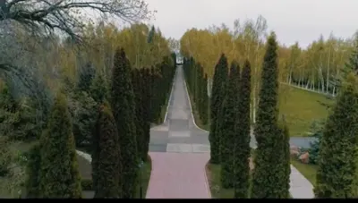 В сети появился клип на новую песню президента Кыргызстана