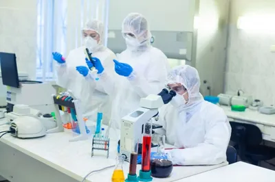 Как COVID-19 обманывает иммунитет пациентов — ученые