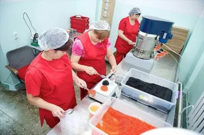 Казахстанские производители пробиваются на рынки ТСЭксклюзив