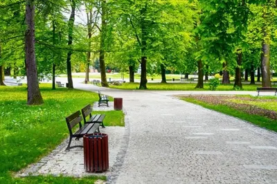 В Астане на левом берегу появится новый парк