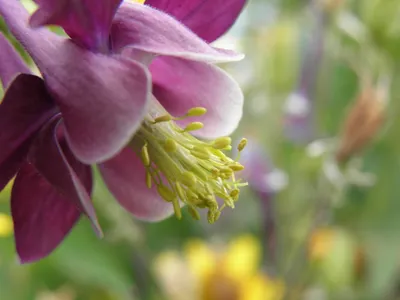 Погода без осадков ожидается на западе Казахстана