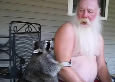 Енот и веселый дедушка покорили YouTube