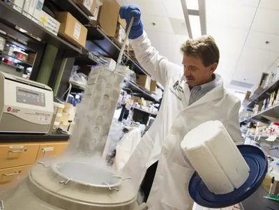 Ученые-технари зарабатывают больше гуманитариев