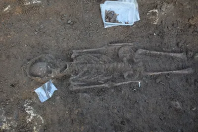Доисторическое захоронение до сих пор вызывает вопросы