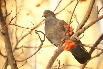 В выходные дни потеплеет в Казахстане