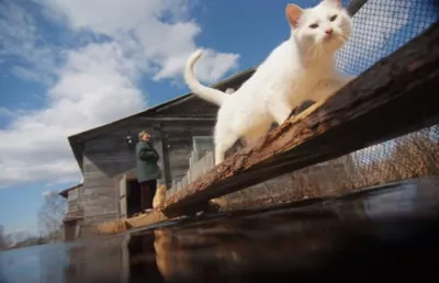 Синоптики предупреждают о дальнейшем развитии весеннего половодья в РК