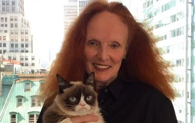Знаменитая Grumpy Cat посетила редакцию американского Vogue