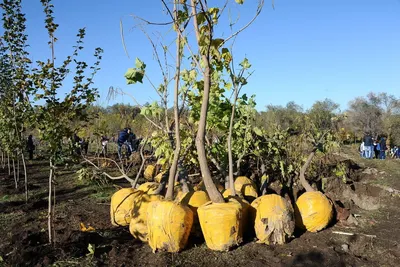 Тазару күні: общереспубликанская эко-акция пройдет в Казахстане