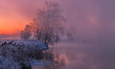 Туманная погода ожидается на юге Казахстана