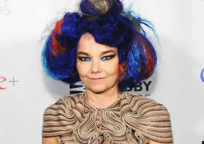 Бьорк обвинила журналистов в сексизме