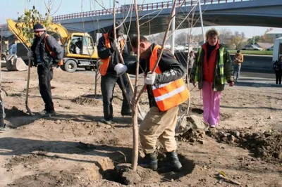 В Алматы открыт сезон весенних посадок