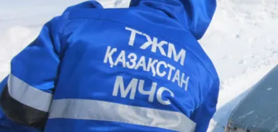 В Северном Казахстане на свалке обнаружен труп женщины