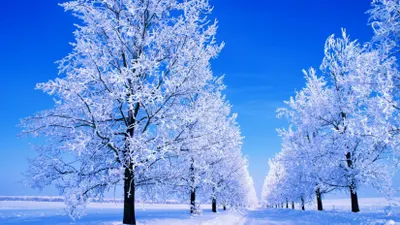 Снег пройдет на западе Казахстана