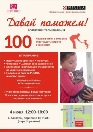 Завтра в Алматы в ЦПКиО животные из приютов будут искать новые семьи