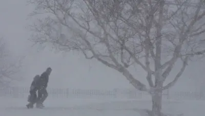 Метели ожидаются в ряде регионов Казахстана на выходных