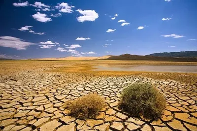 Тела 40 погибших от жажды мигрантов обнаружили в пустыне Нигера