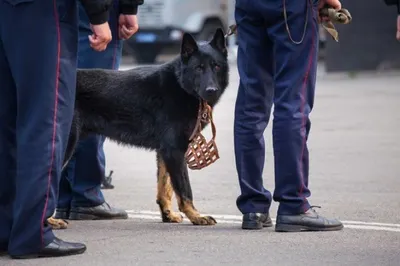 В Алматы «заминировали» один из банков