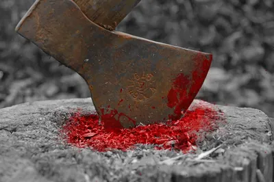 Задержан зарубивший щенков топором житель Усть-Каменогорска