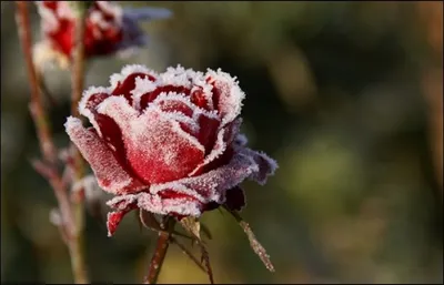 В некоторых регионах Казахстана ожидается резкое похолоданиеЭксклюзив