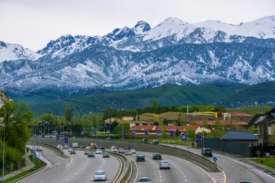 Ценность креативных индустрий для экономики очевидна — Сарыбаев