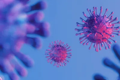 Кто менее подвержен заражению «омикроном» — иммунолог