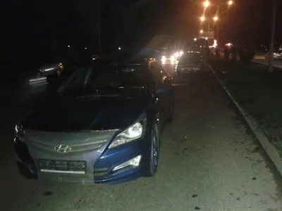 Кошка спровоцировала аварию на Райымбека