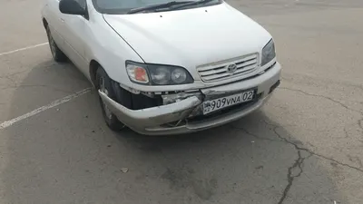 Массовое ДТП произошло на парковке ТЦ «Адем». ФОТО