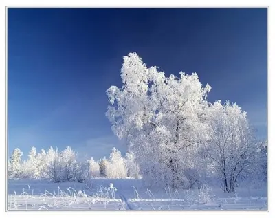 На День Независимости казахстанцев ждут 30-градусные морозыЭксклюзив