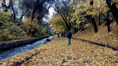В Казахстане 28 сентября прогнозируют погоду без осадков