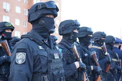 Находившихся в международном розыске лиц задержали в Павлодарской области