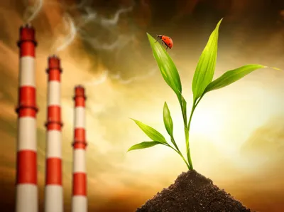 Более 100 миллиардов тенге выделено на охрану окружающей среды